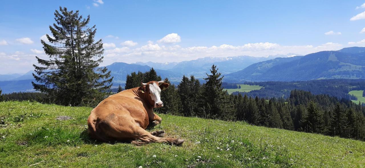Ferienwohnung Boeck, Wengen Im Allgaeu Weitnau Luaran gambar
